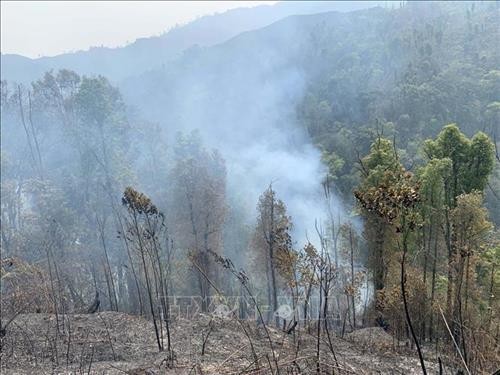 Gian nan phòng, chống cháy rừng trong mùa khô ở Sơn La