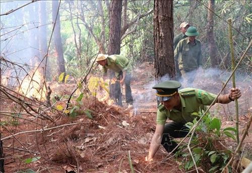 Gia Lai: Chung tay phòng chống cháy rừng mùa khô hạn