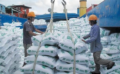 Thủ tướng Chính phủ yêu cầu tạm dừng ký hợp đồng xuất khẩu gạo