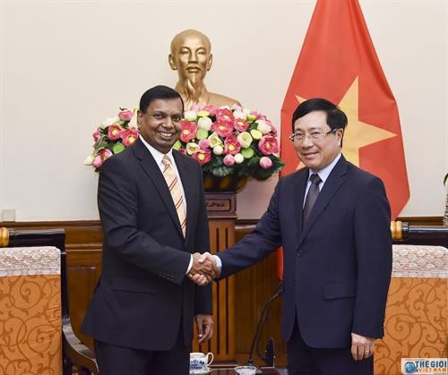 政府副总理兼外长范平明会见斯里兰卡新任驻越大使