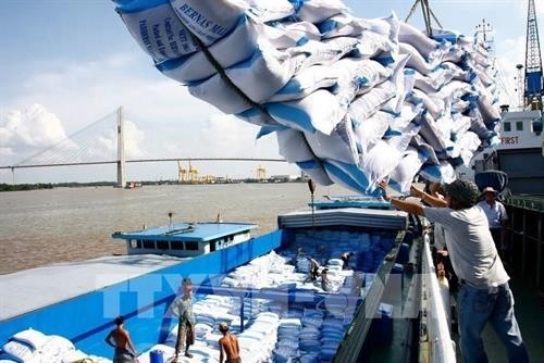Thủ tướng Nguyễn Xuân Phúc: Xuất khẩu gạo phải có kiểm soát để bảo đảm an ninh lương thực