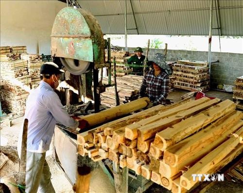 Thái Nguyên: Khuyến khích người trồng rừng sản xuất gắn với chế biến lâm sản