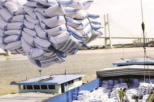  越南政府总理批准恢复大米出口活动