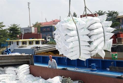 越南粮食协会建议优先为在港口储存的大米清关活动创造便利条件