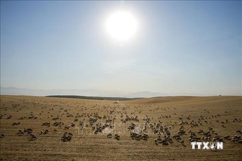Miền Tây nước Mỹ trải qua thời kỳ khô hạn nhất trong hơn 1.000 năm qua