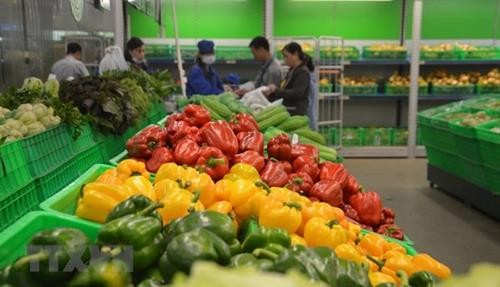 2020年第一季度越南加大对泰国蔬果出口力度 蔬果出口形势喜人