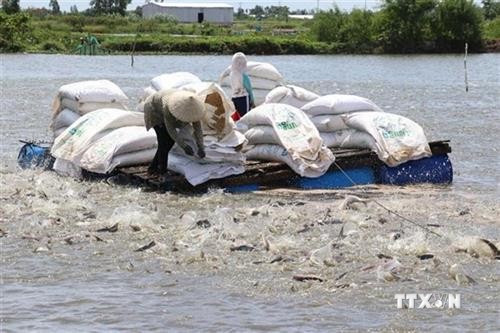 美国商务部公布对越南查鱼和巴沙鱼的第15号反倾销税审查期的结果