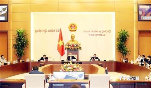 越南国会常委会第44次会议：利用社交网络提高虐待儿童防治工作效率