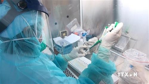 国际舆论高度评价越南应对新冠肺炎疫情的措施