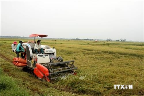 Nông dân Quảng Bình thiệt hại hàng chục tỷ đồng do mưa lớn kèm gió mạnh
