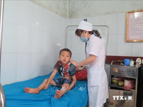 Tuyên Quang: Bốn trẻ nhỏ ngộ độc do ăn thịt cóc