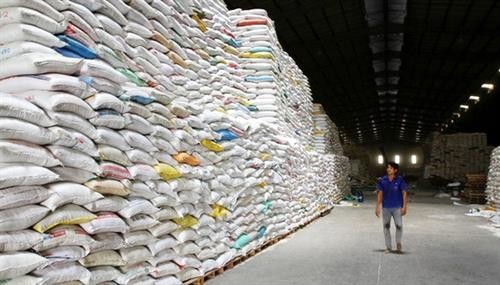 Xuất khẩu gạo phải xem xét kỹ lưỡng, thận trọng