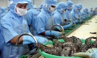 越南虾类出口有望达38亿美元