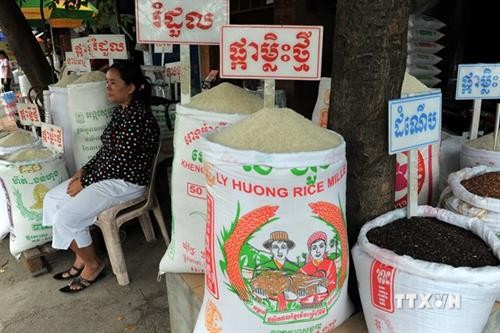 柬埔寨放宽部分限制措施助推经济发展
