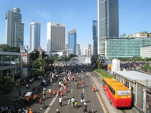 2021年预计印度尼西亚经济增长6.6-7.1%