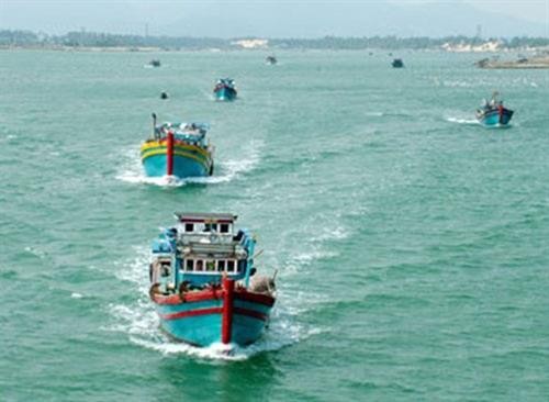 越南渔业协会反对中国在东海实施的捕鱼禁令