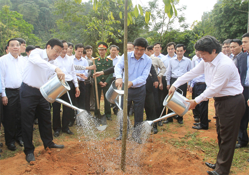 Chủ tịch nước Trương Tấn Sang phát động “Tết trồng cây đời đời nhớ ơn Bác Hồ” Xuân Ất Mùi năm 2015
