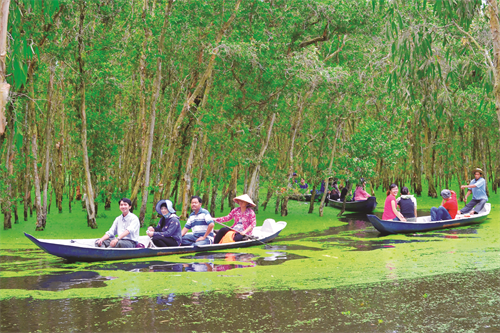 Dự án bảo vệ rừng ngập mặn đồng bằng sông Cửu Long