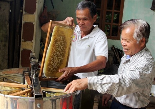 Cao Bằng phát triển nghề nuôi ong lấy mật
