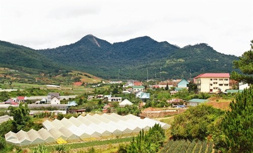 Lâm Đồng đẩy mạnh chuyển đổi cơ cấu kinh tế nông nghiệp