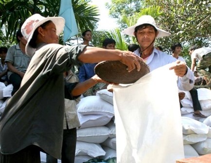 Chính phủ hỗ trợ Đắk Lắk gần 500 tấn gạo