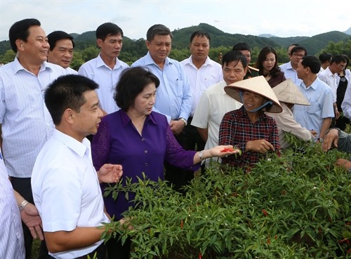 Chủ tịch Quốc hội Nguyễn Thị Kim Ngân thăm và làm việc tại Lạng Sơn