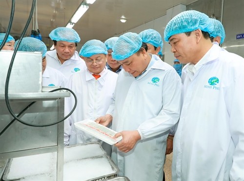 Thủ tướng Nguyễn Xuân Phúc thăm mô hình chế biến tôm tại Tập đoàn Thủy sản Minh Phú, Cà Mau