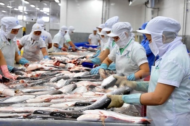越南努力促进世贸组织关于渔业补贴的谈判