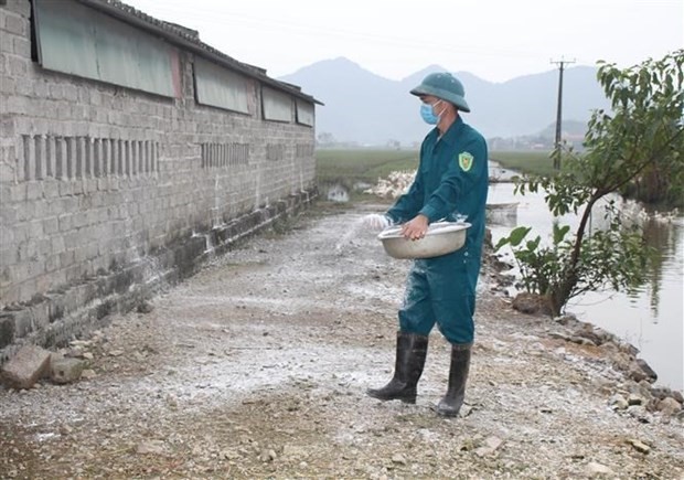 越南政府总理要求强化禽流感疫情防控措施