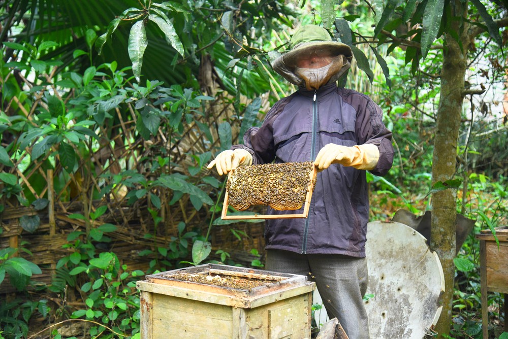 和平市独立乡注重发展养蜂业