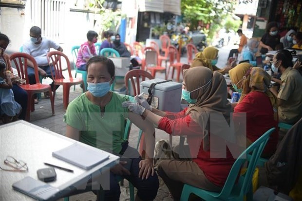 新冠肺炎疫情：印尼加大中国新冠疫苗进口力度