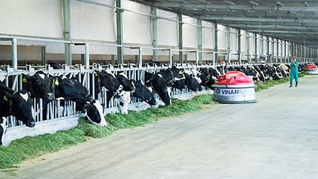 促进奶牛养殖行业