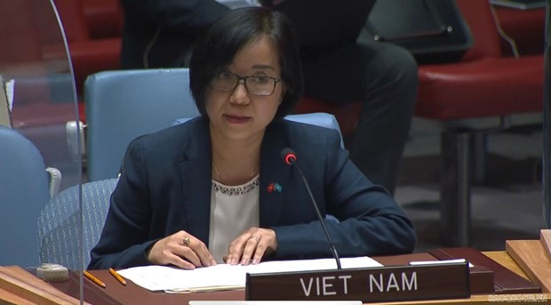 越南与联合国安理会：越南提议联合国和国际社会助力埃塞俄比亚战胜政治危机
