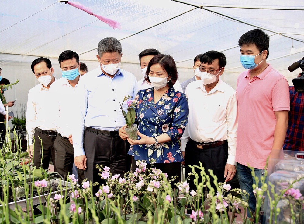Phó Bí thư Thường trực Thành ủy Hà Nội Nguyễn Thị Tuyến cùng đoàn công tác đi thăm cơ sở sản xuất hoa lan công nghệ cao tại xã Mỹ Hưng, huyện Thanh Oai.