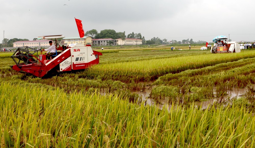 Cơ giới hóa trong sản xuất lúa ở xã Liên Mạc, huyện Mê Linh (Hà Nội).
