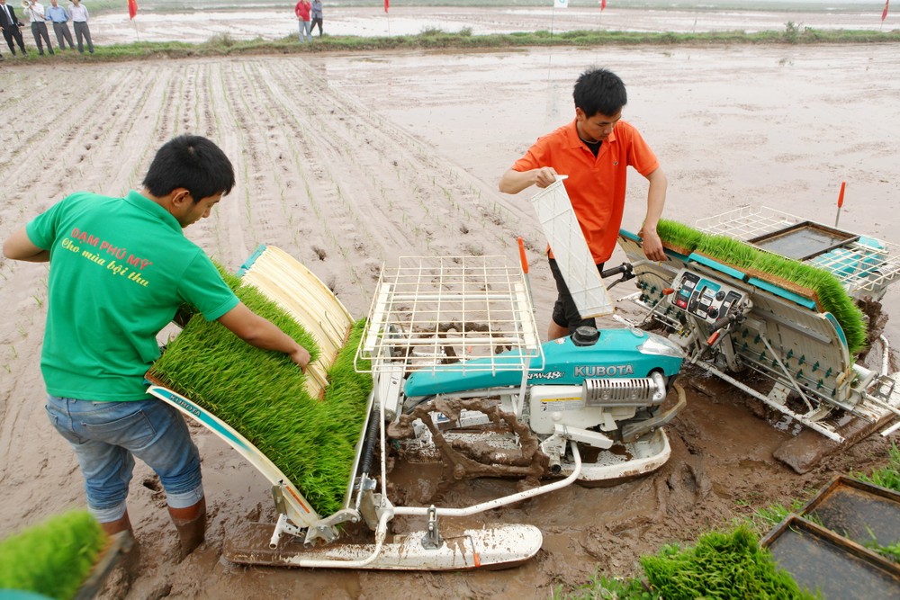 Thời gian qua, ngành Nông nghiệp Hà Nội đã đẩy mạnh cơ giới hóa đồng bộ trong sản xuất lúa.