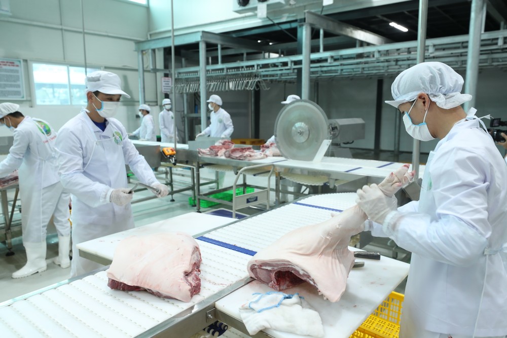 Dây chuyền chế biến thịt lợn sạch tại Công ty cổ phần thực phẩm Song Đạt ở xã Vạn Phúc, huyện Thanh Trì (Hà Nội).