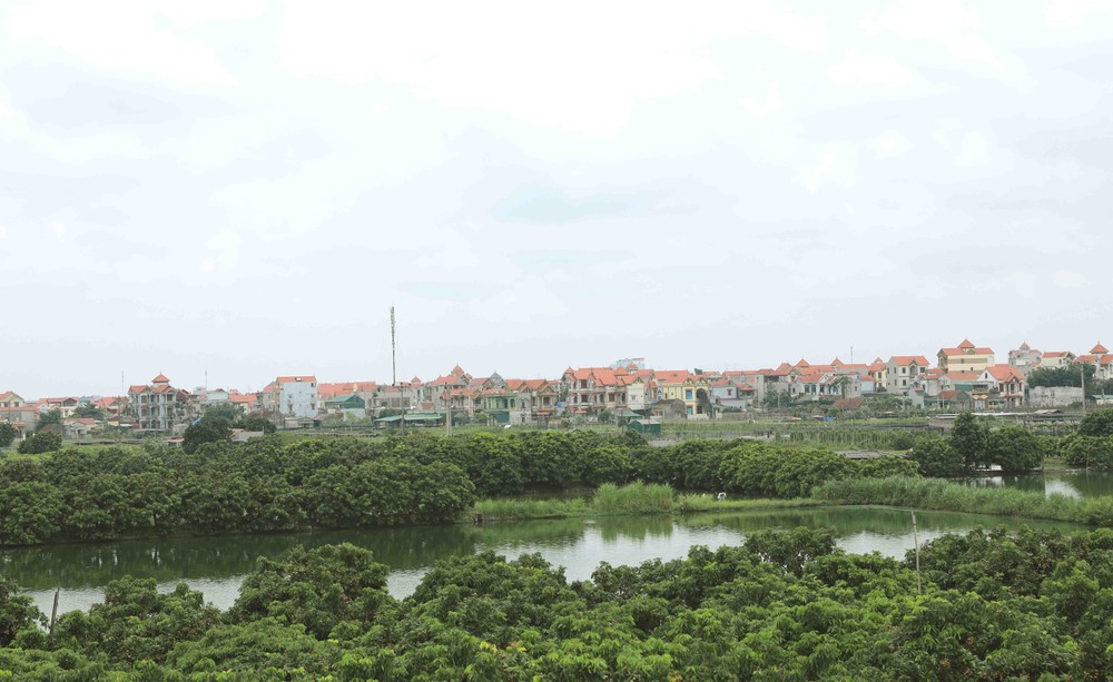 Diện mạo nông thôn xanh - sạch - đẹp ở huyện Thường Tín (Hà Nội).