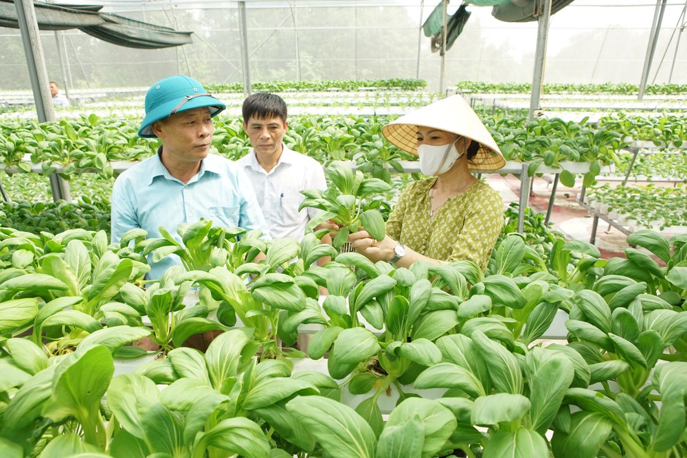 Những năm vừa qua, ngành Nông nghiệp Hà Nội luôn hướng tới một nền nông nghiệp xanh, an toàn và thân thiện với môi trường.