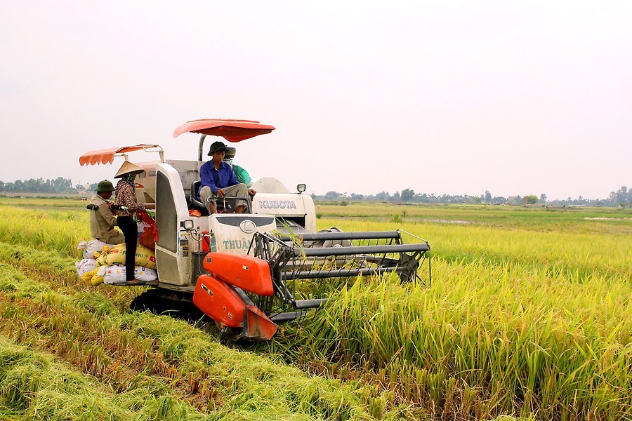 Đến nay, cơ giới hóa trong khâu làm đất của Hà Nội đạt 100% diện tích đất nông nghiệp và diện tích lúa được thu hoạch bằng máy đạt 90%.