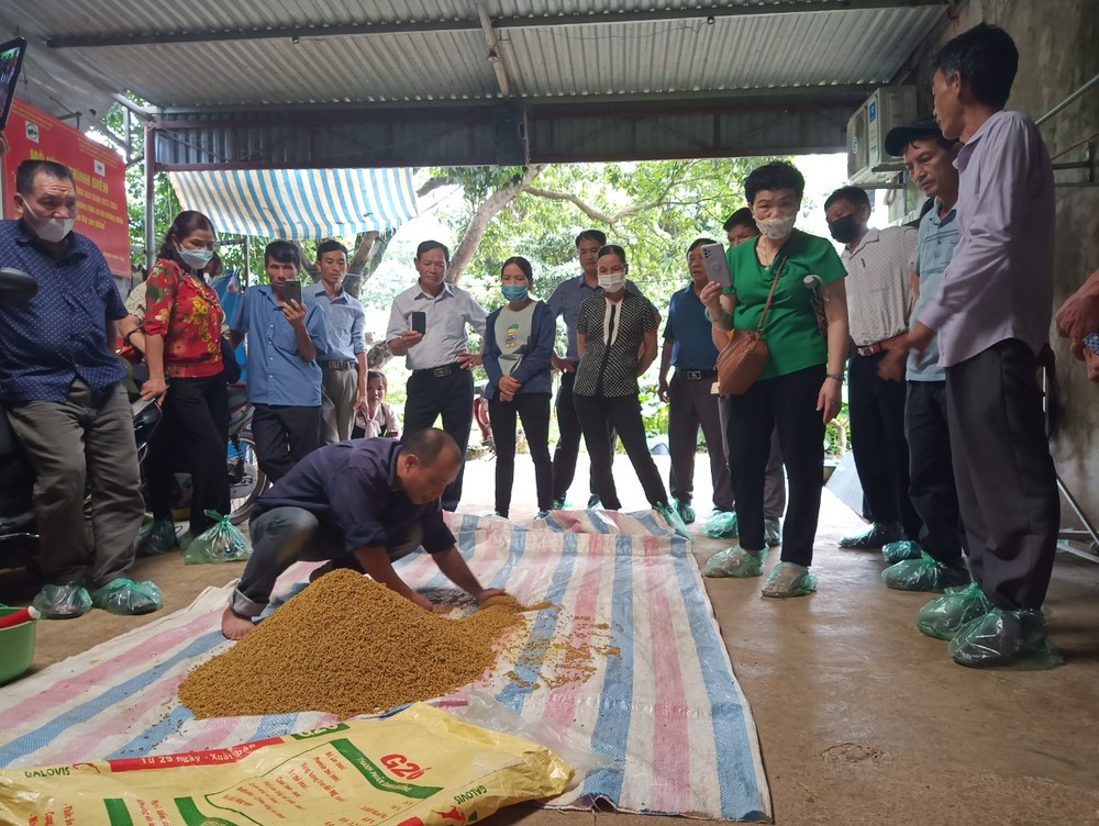 Lớp tập huấn tham quan mô hình thực tế chăn nuôi gà theo hướng an toàn hữu cơ tại Hợp tác xã Yên Hòa Phú thuộc xã Đông Yên, huyện Quốc Oai (Hà Nội).