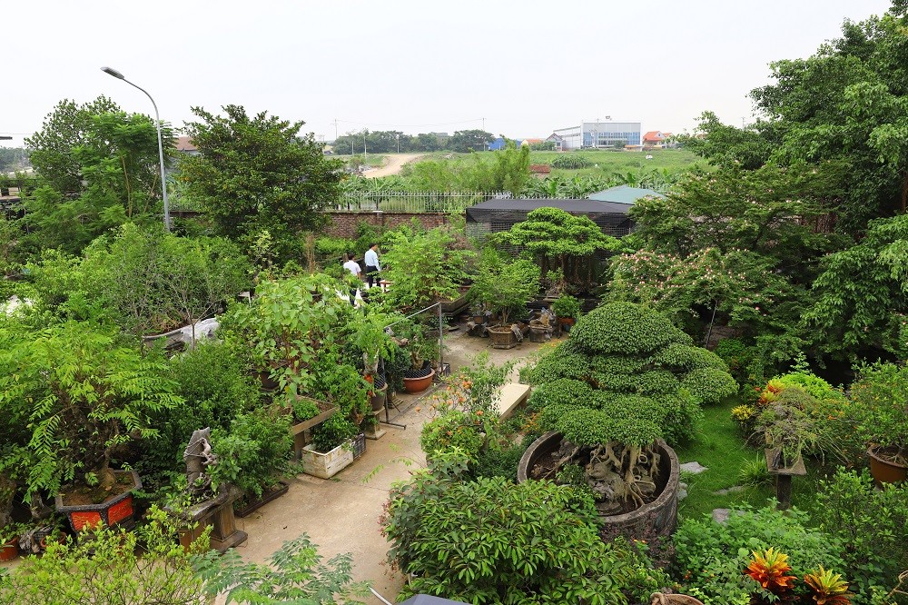 Trên cơ sở quy hoạch chung của thành phố, Hà Nội thúc đẩy các mô hình nông nghiệp đô thị theo hướng sinh thái, bền vững, nâng cao đời sống cho người nông dân.