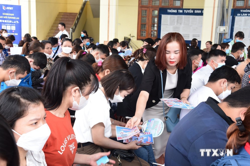 Hoạt động tư vấn, giới thiệu việc làm tại Trung tâm Dịch vụ việc làm tỉnh Tuyên Quang. Ảnh: TTXVN phát