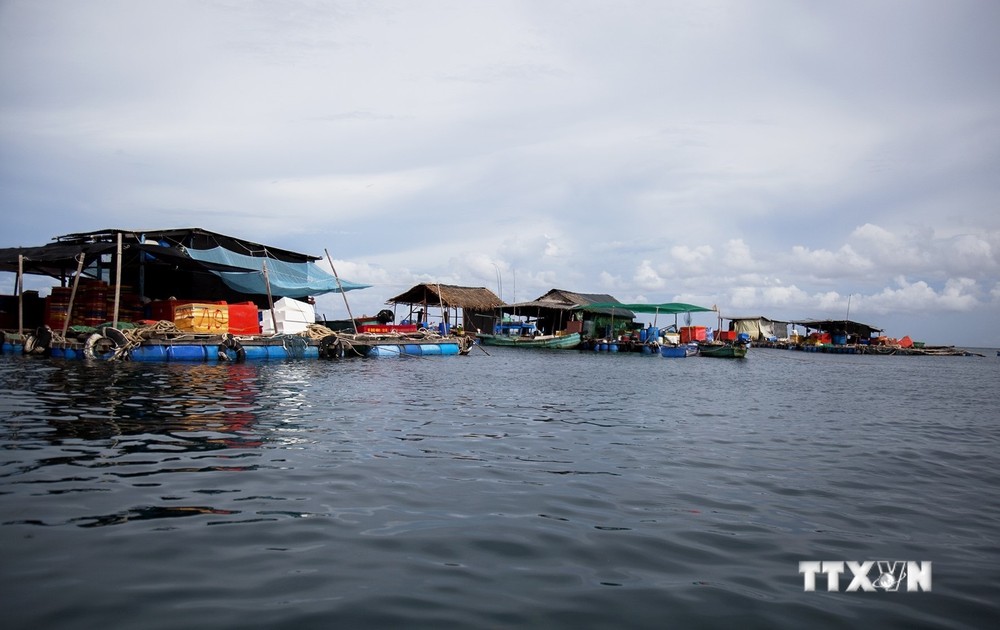 Nuôi cá lồng bè ở Bãi Dong, xã đảo Thổ Châu, thành phố Phú Quốc (Kiên Giang). Ảnh: Hồng Đạt - TTXVN