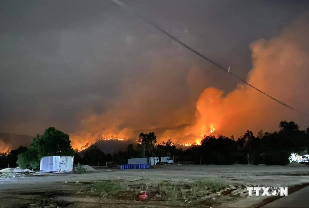 Cháy rừng tại tỉnh Phú Yên. Ảnh minh họa
