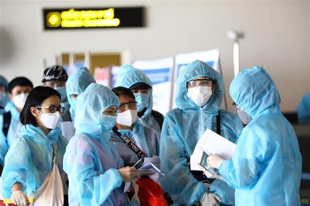 新冠肺炎疫情：在欧洲和非洲的近340名越南公民安全回国