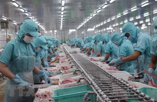2020年越南查鱼出口额预计达15亿美元 