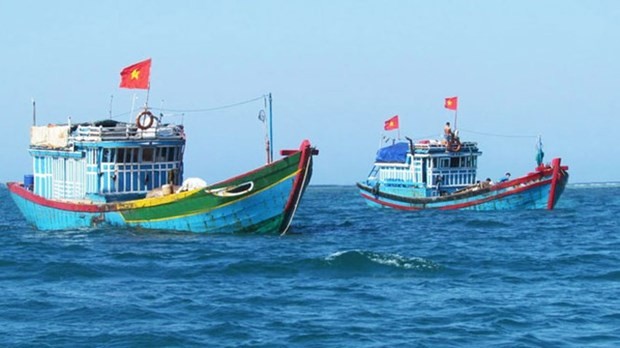 越南海洋岛屿：严惩在国外海域非法捕鱼的渔船