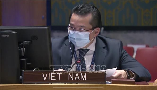 越南支持国际法院中各国际法律程序