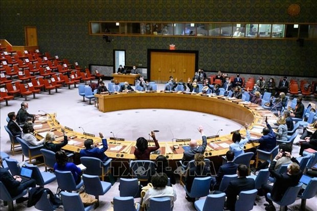越南与联合国安理会：越南呼吁各方在埃塞俄比亚全面履行国际人道法义务